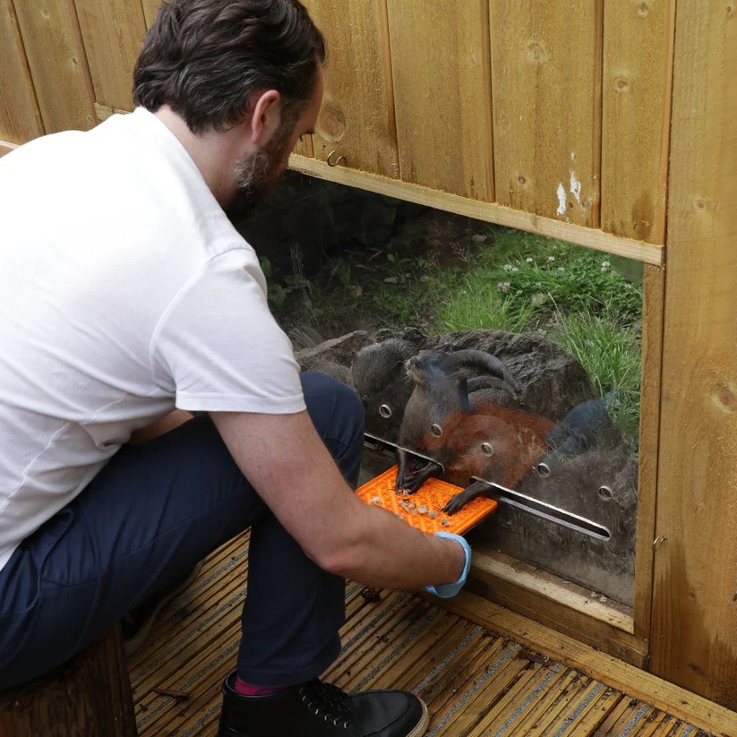 Man feeding otters at Edinburgh Zoo IMAGE: Membership 2024