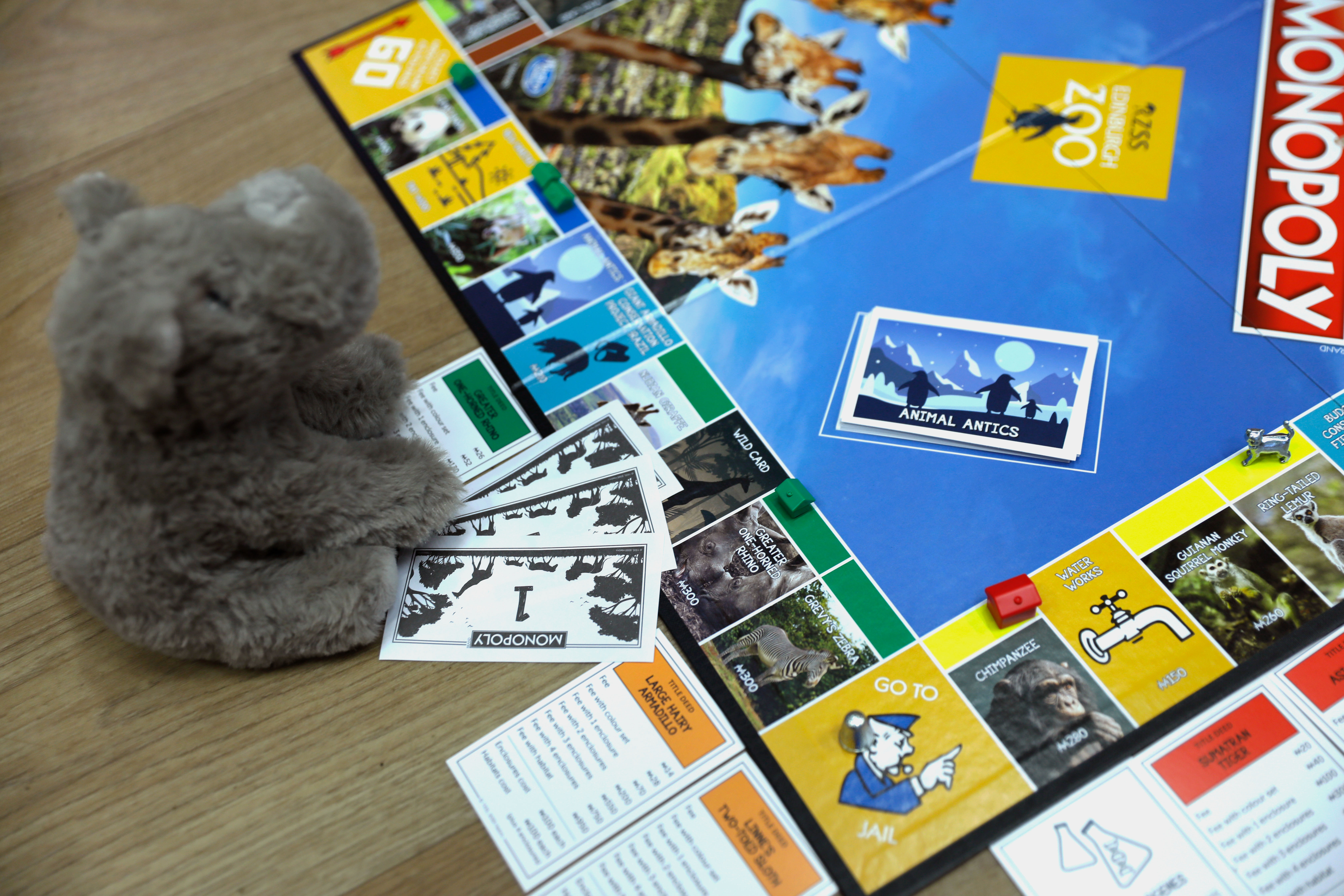 Edinburgh Zoo Monopoly IMAGE: Laura Moore 2024