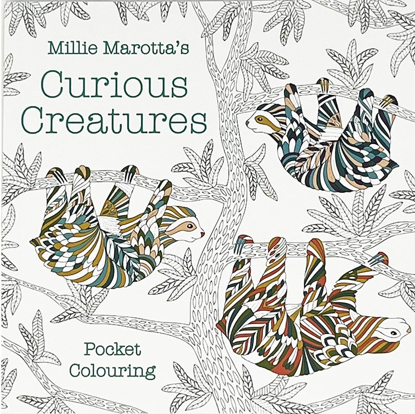 curious creatures colouring in book IMAGE: Retail 2024