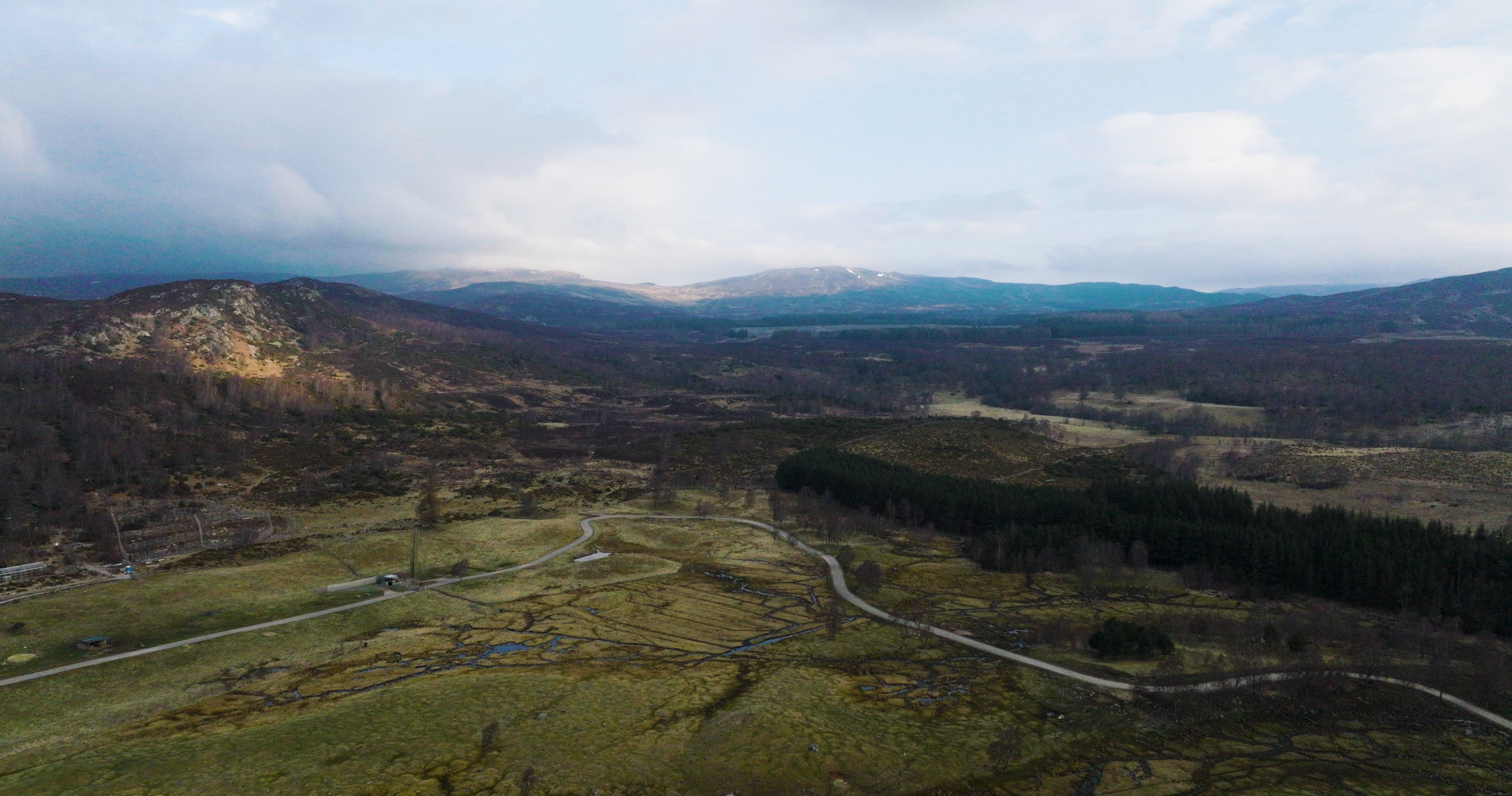 Peatland IMAGE RZSS 2024