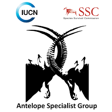 IUCN antelope specialist group logo