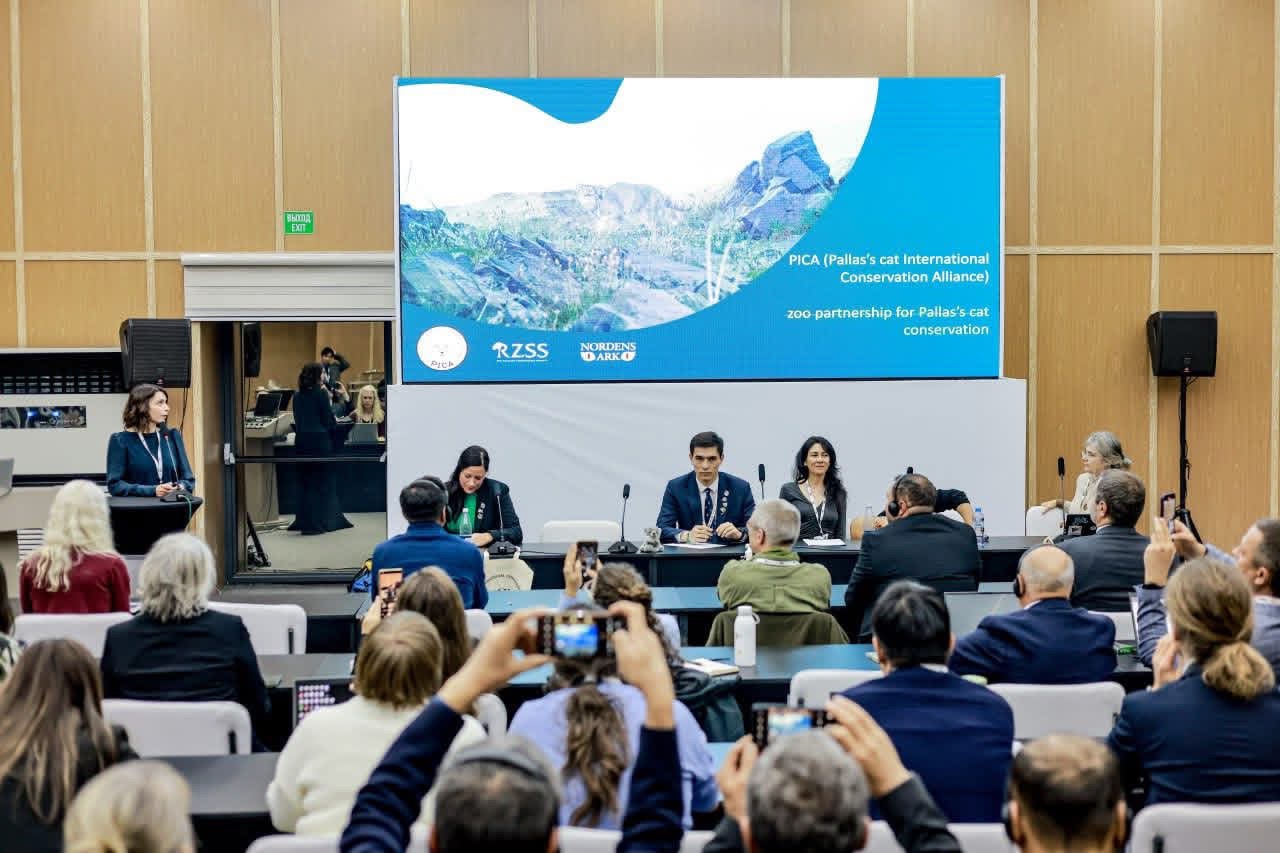 Uzbekistan IMAGE 2026 National Committee on Ecology and Climate Change of the Republic of Uzbekistan