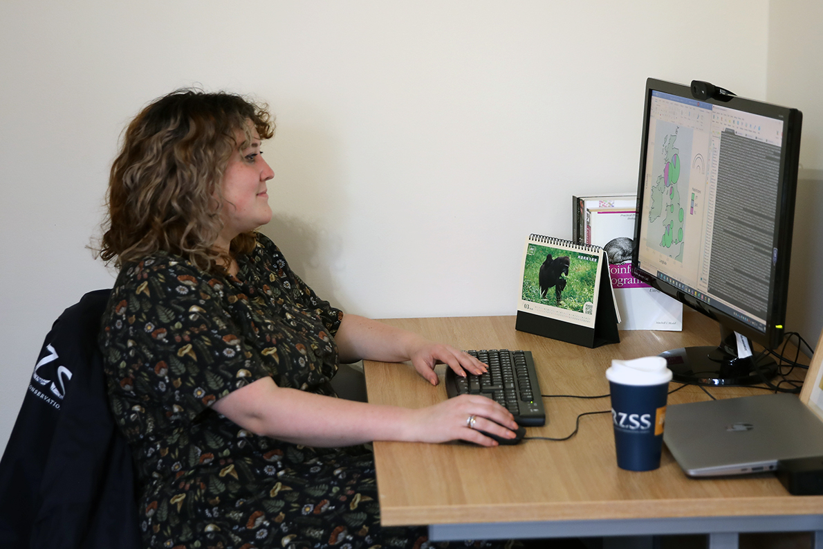 Dr Heather Ritchie-Parker looking at pine hoverfly research report in RZSS Conservation office IMAGE Rhiordan Langan-Fortune 2023