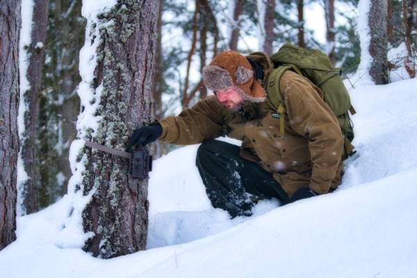 David Barclay setting a camera trap in the Cairngorms