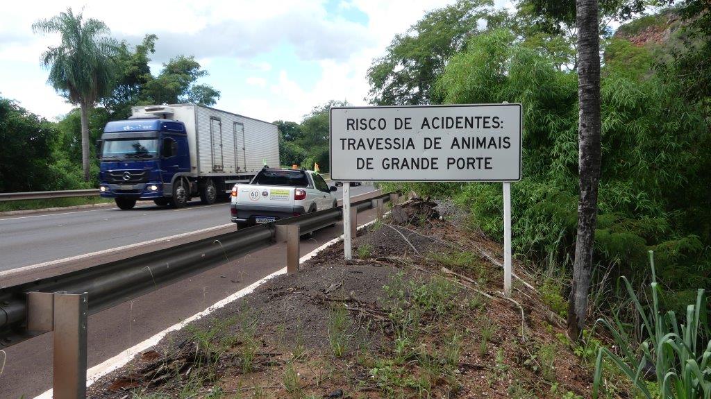 Wildlife road signage in Brazil IMAGE: ICAS 2024