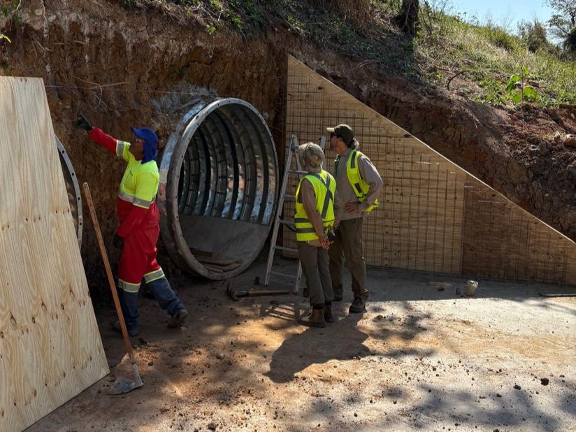 Road mitigation measures IMAGE ICAS 2026