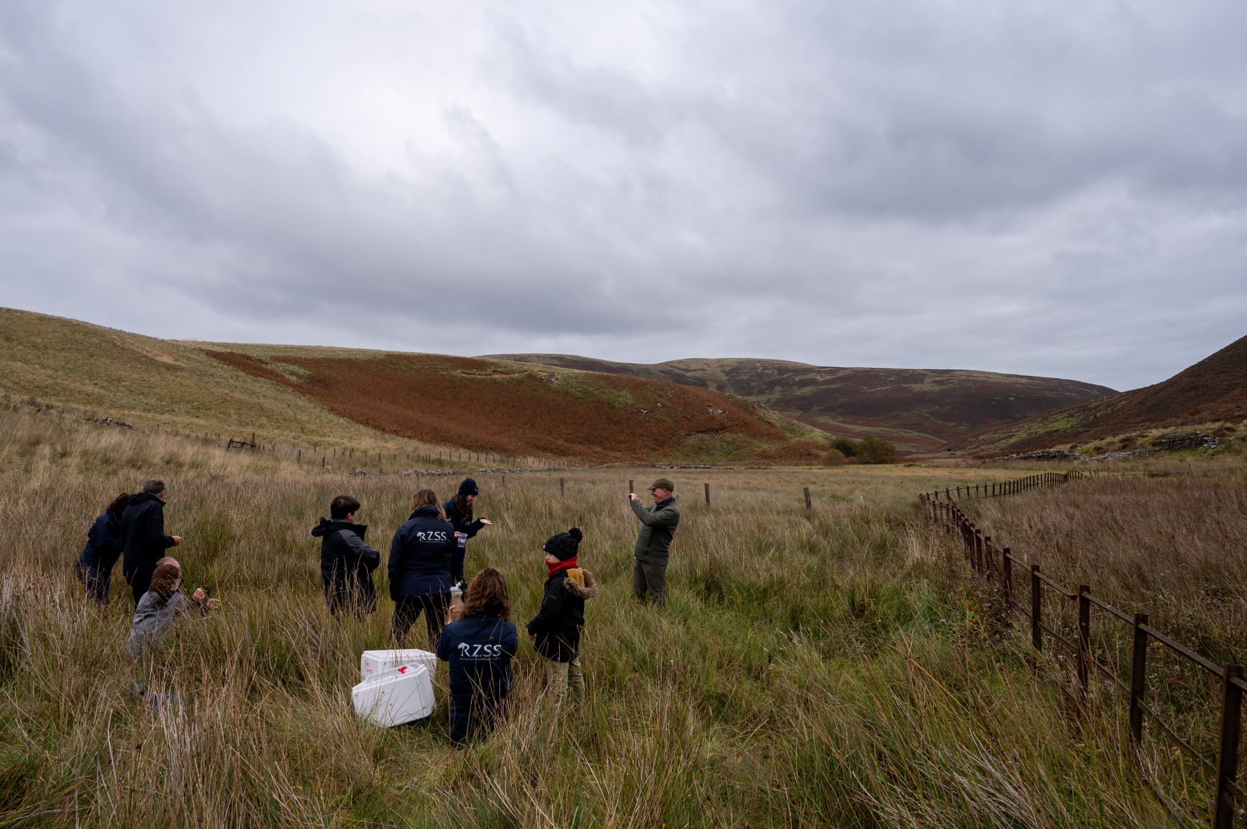 A few pond mud snails during the 2025 census at HWP IMAGE WAL 2025