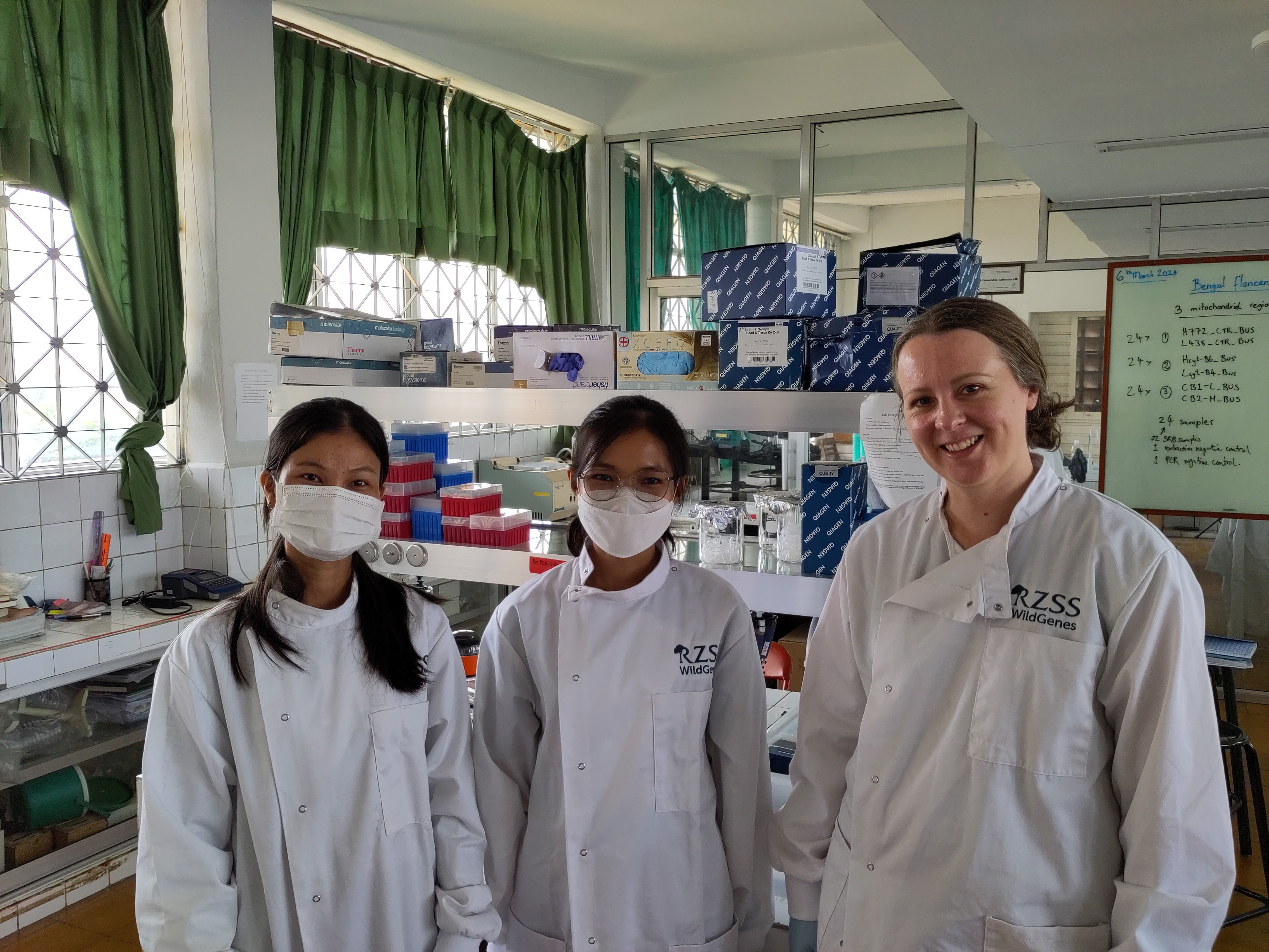 Liz Heaps in Cambodia lab