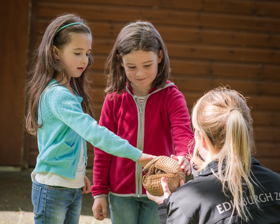 Animal handling session with a keeper, armadillo, and two children IMAGE: Unknown