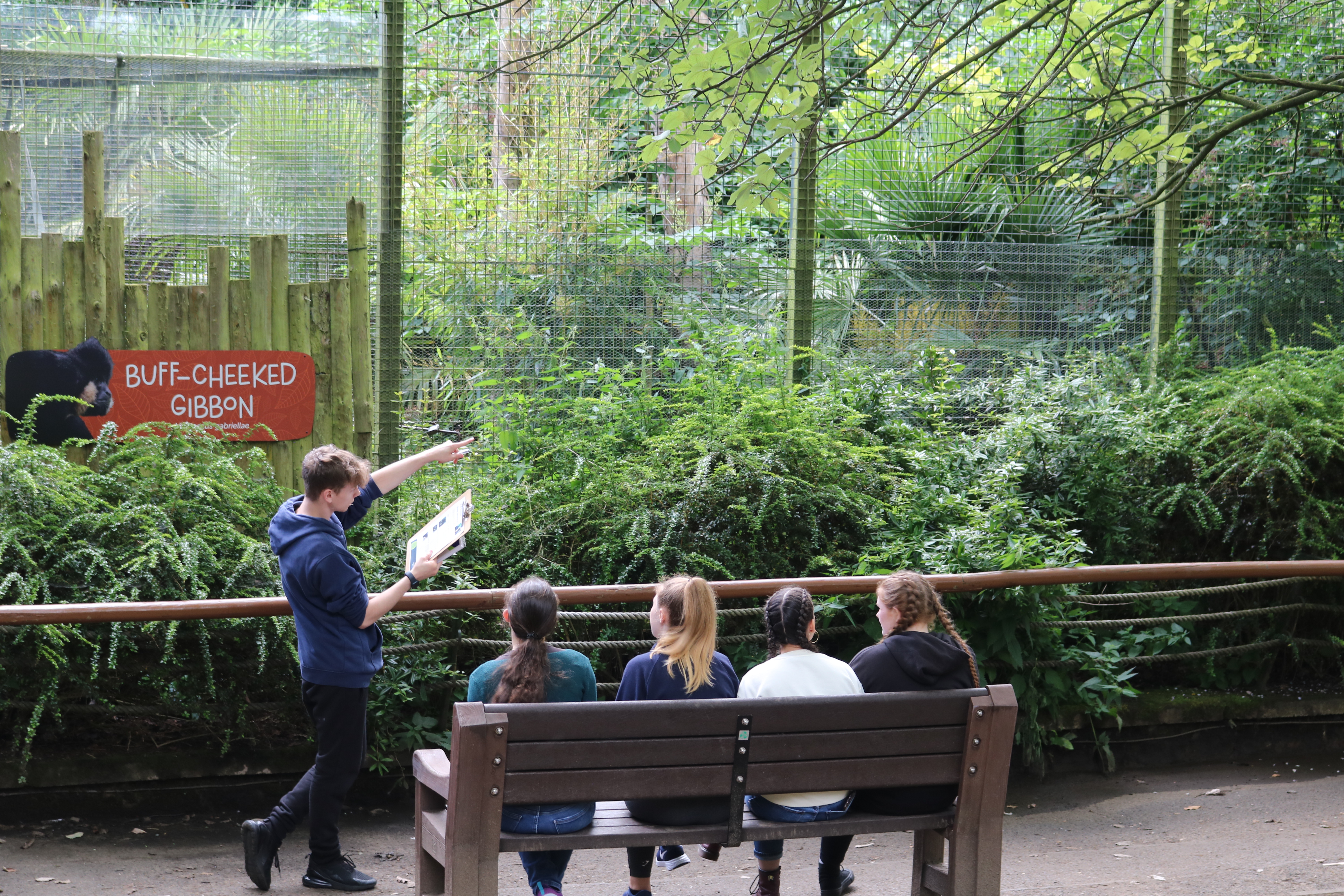 A group of higher education students by the gibbon enclosure IMAGE: Blair Cockburn, 2024