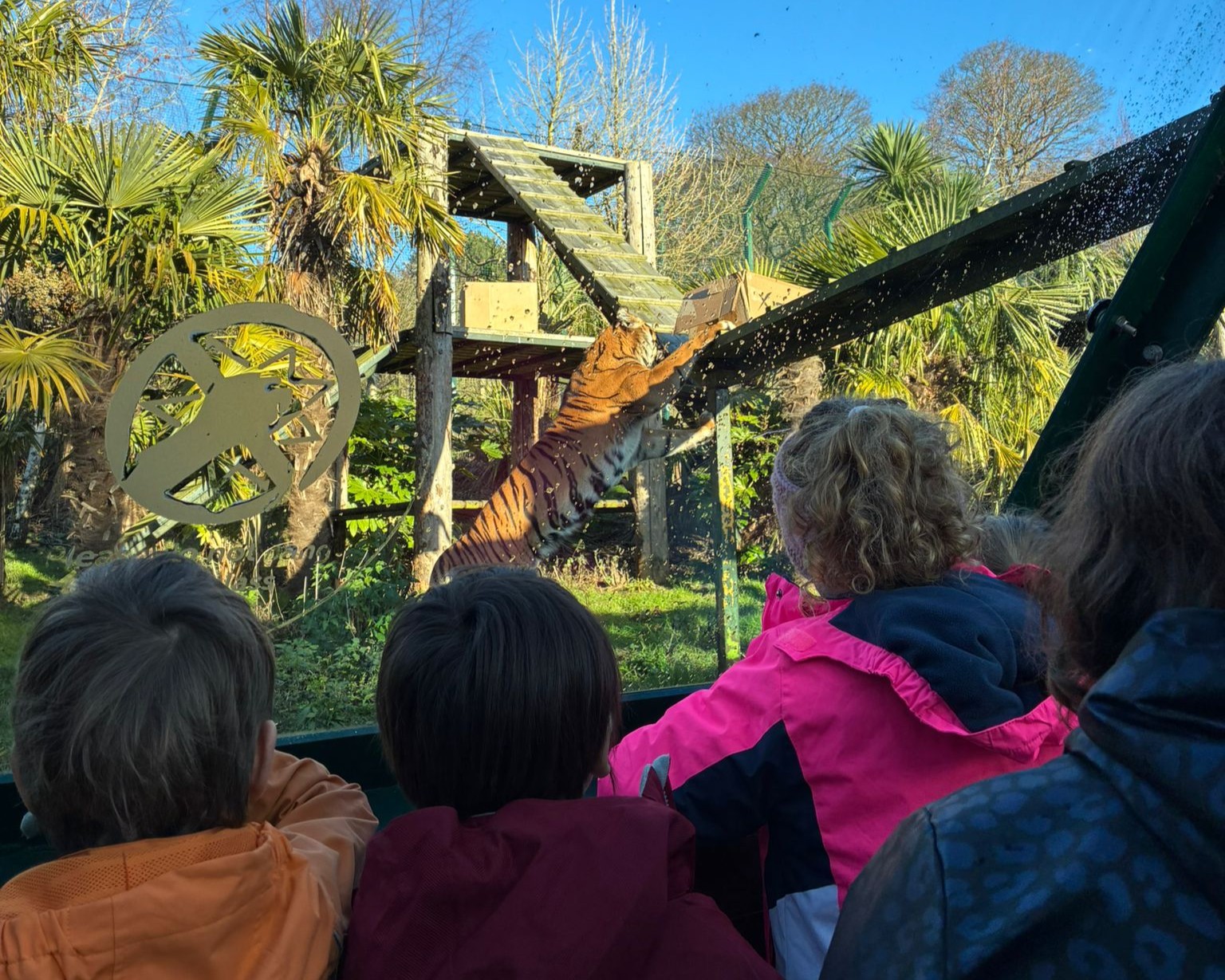 Joeys and roos session. A young child is engaging with a member of the discovery and learning team using a hand puppet IMAGE: unknown