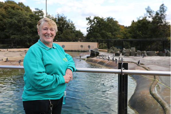 Joan RZSS volunteer in front of penguin pool