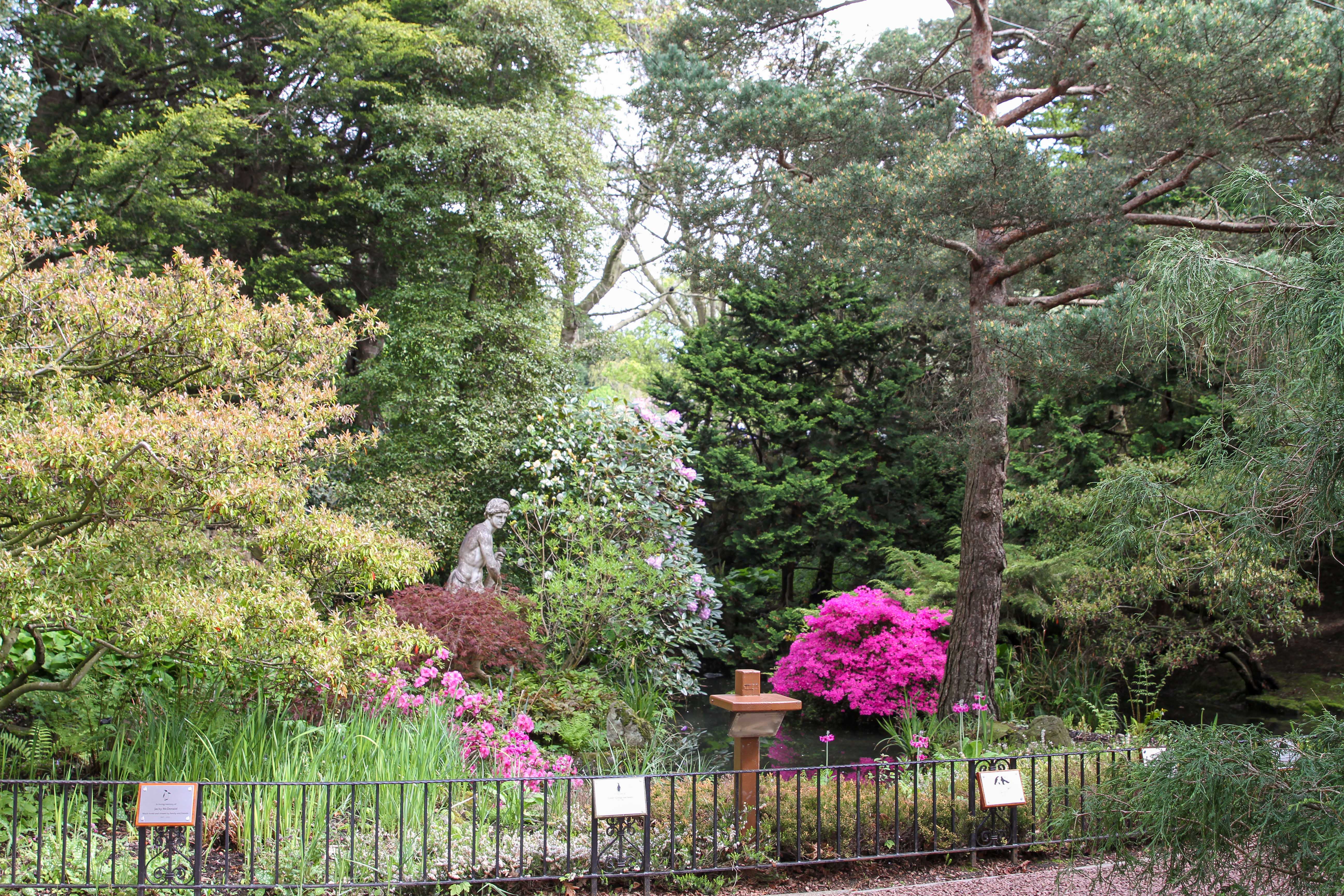 Japanese Garden at Edinburgh Zoo IMAGE: Fundraising 2024