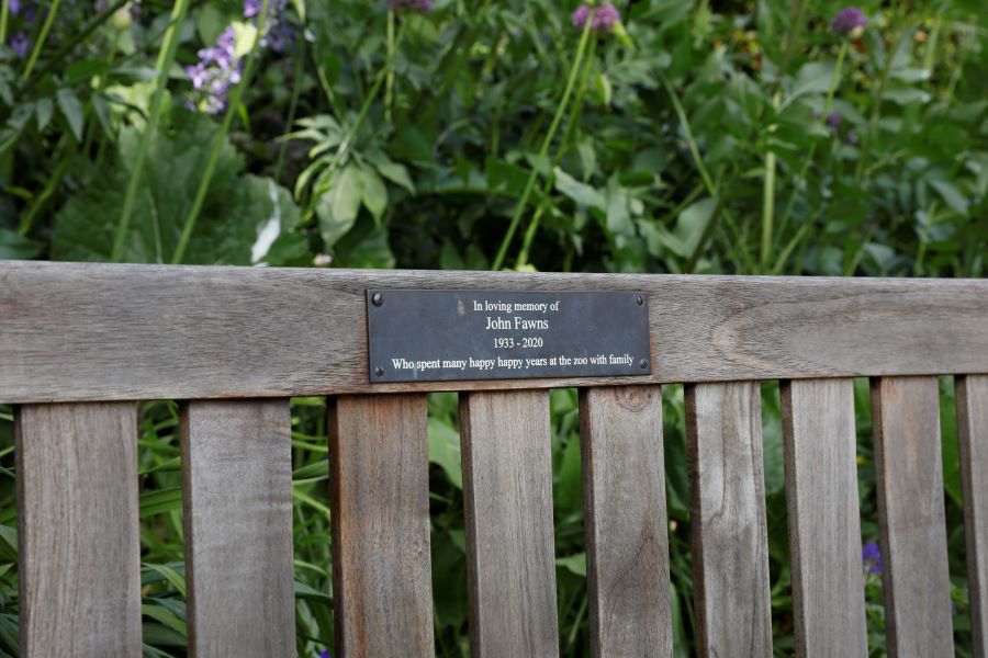 close up of plaque on memorial bench IMAGE: Amy Middleton 2024