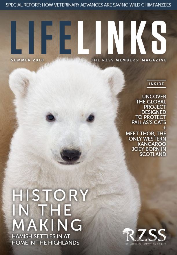 summer 2018 members magazine front cover IMAGE: Think Publishing 2018