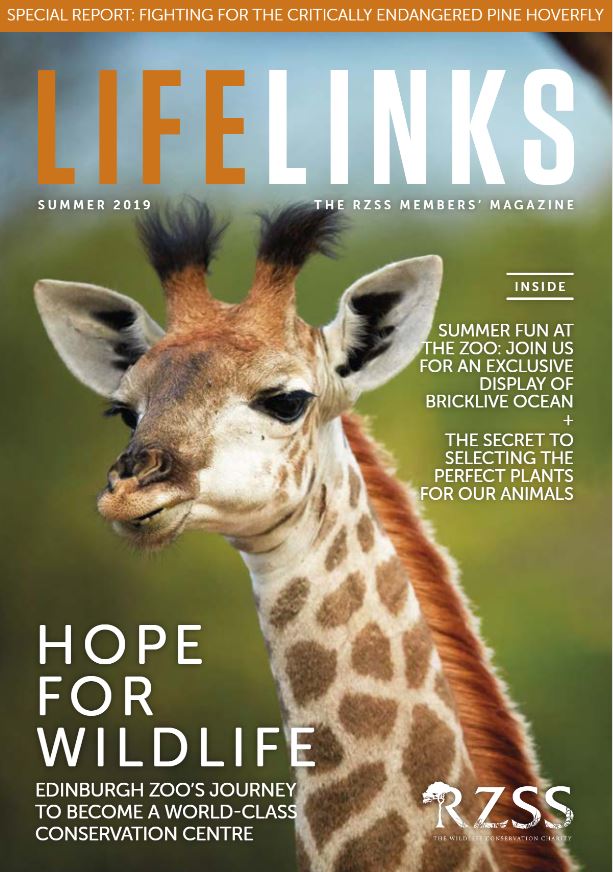 summer 2019 members magazine front cover IMAGE: Think Publishing 2019