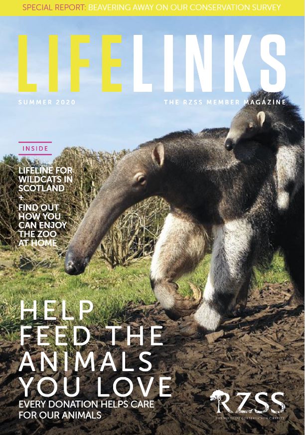summer 2020 members magazine front cover IMAGE: Think Publishing 2020