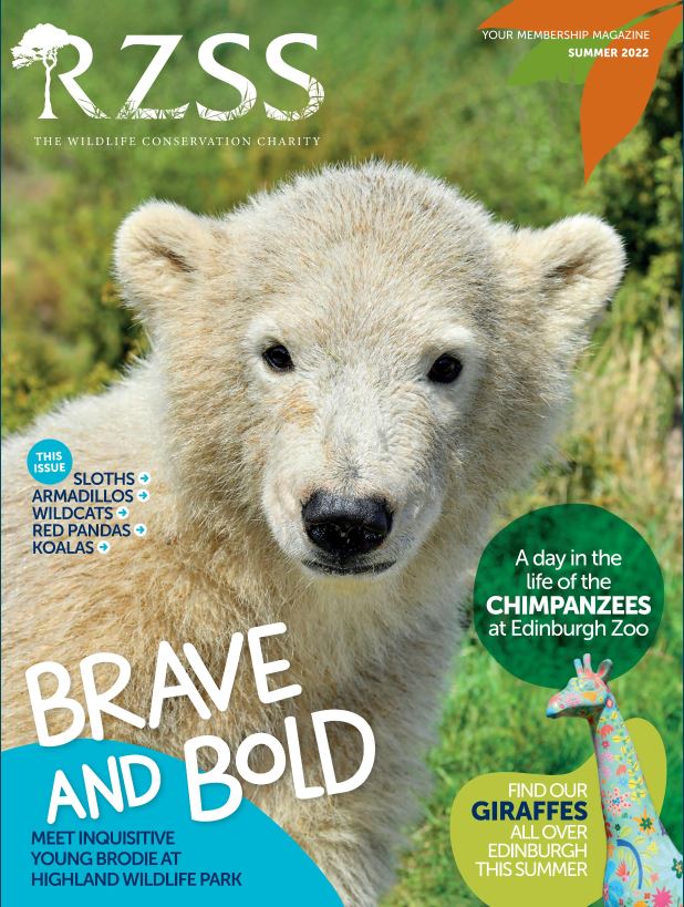 summer 2022 members magazine front cover IMAGE: Think Publishing 2022