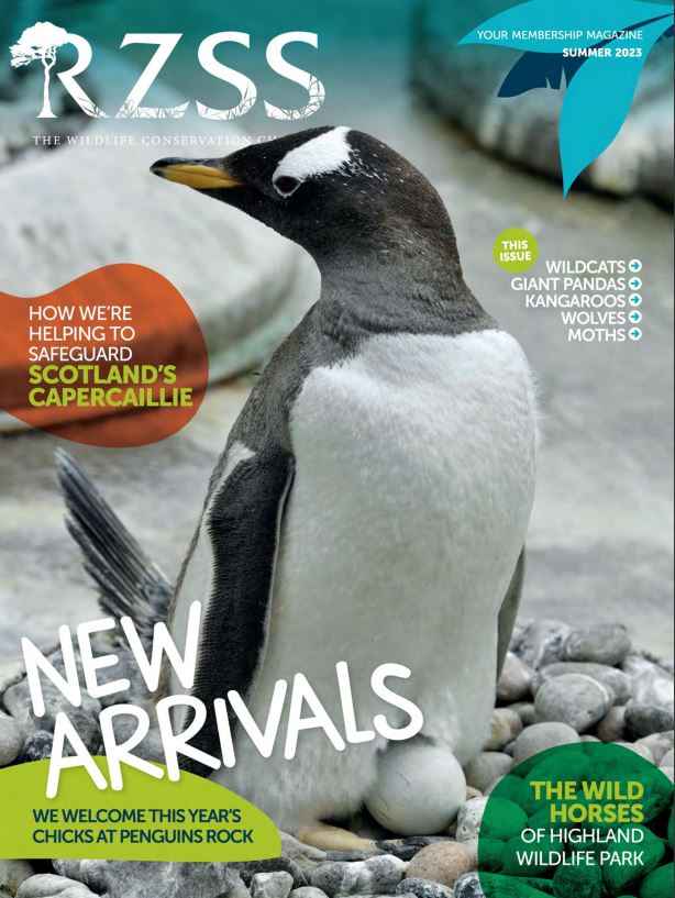 summer 2023 members magazine front cover IMAGE: Think Publishing 2023