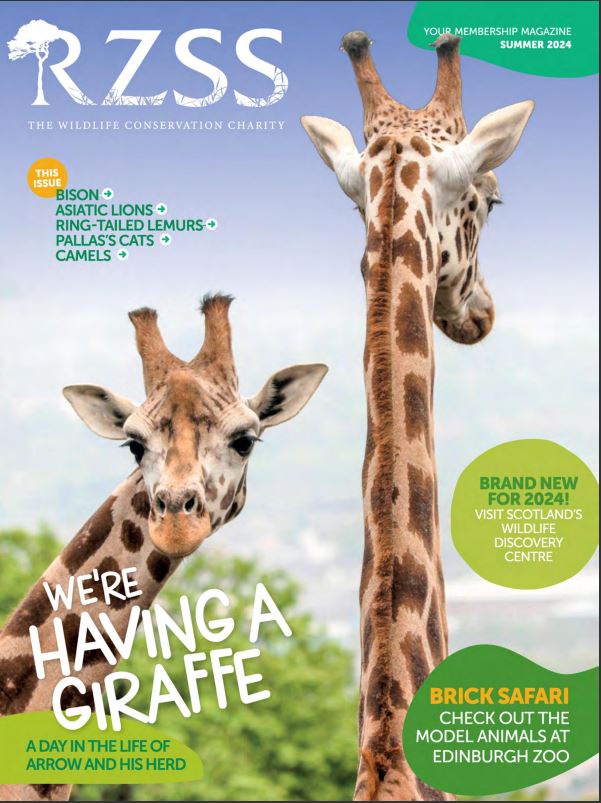 summer 2024 members magazine front cover IMAGE: Think Publishing 2024