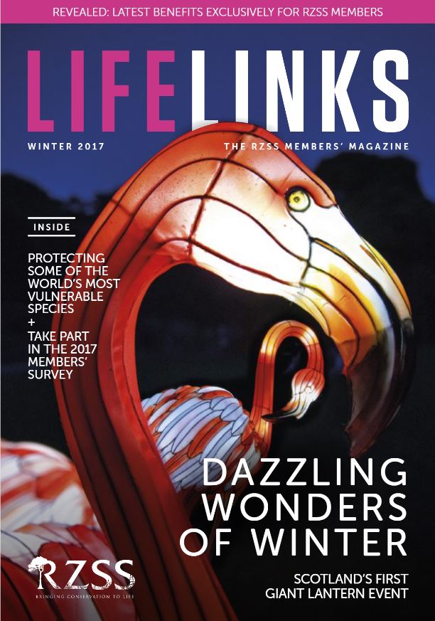 winter 2017 members magazine front cover IMAGE: Think Publishing 2017