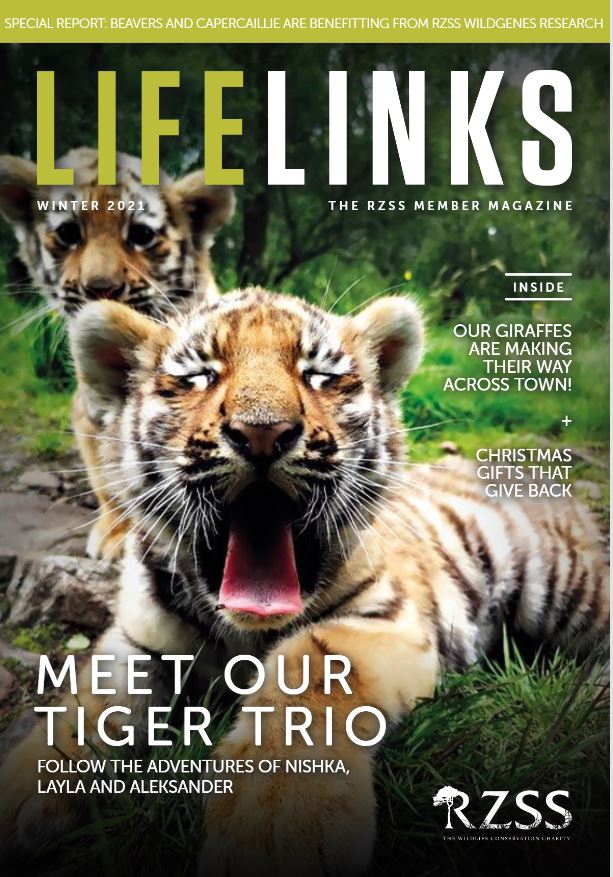 winter 2021 members magazine front cover IMAGE: Think Publishing 2021