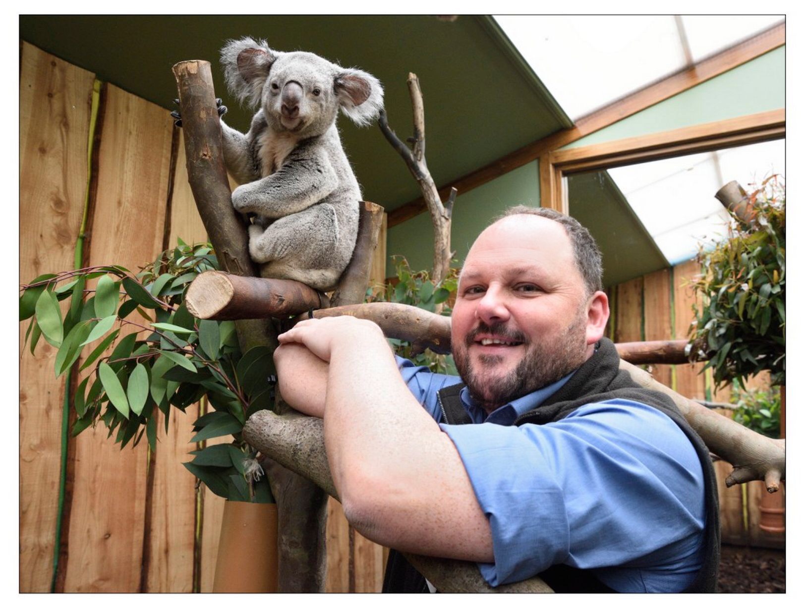 Darren McGarry with koala IMAGE RZSS