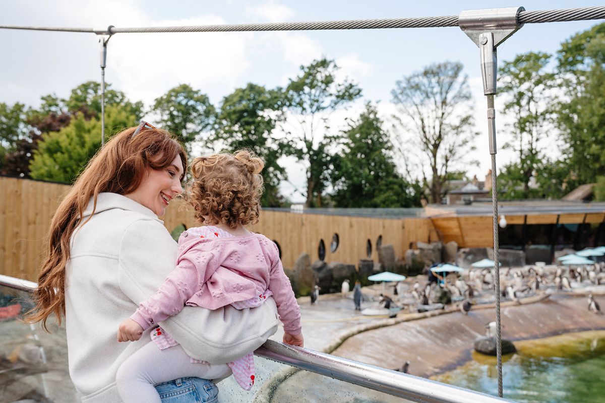 Edinburgh Zoo visitors at Penguins Rock