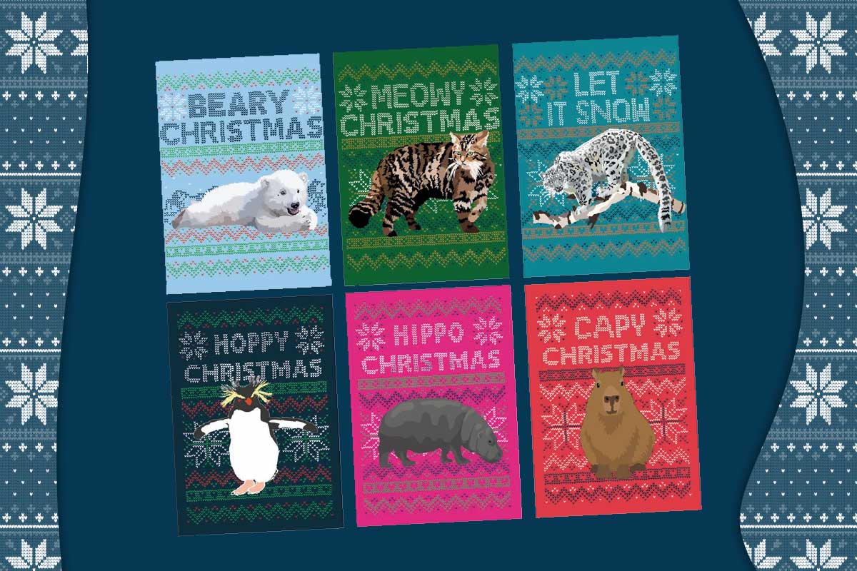 RZSS Christmas cards 6 pack