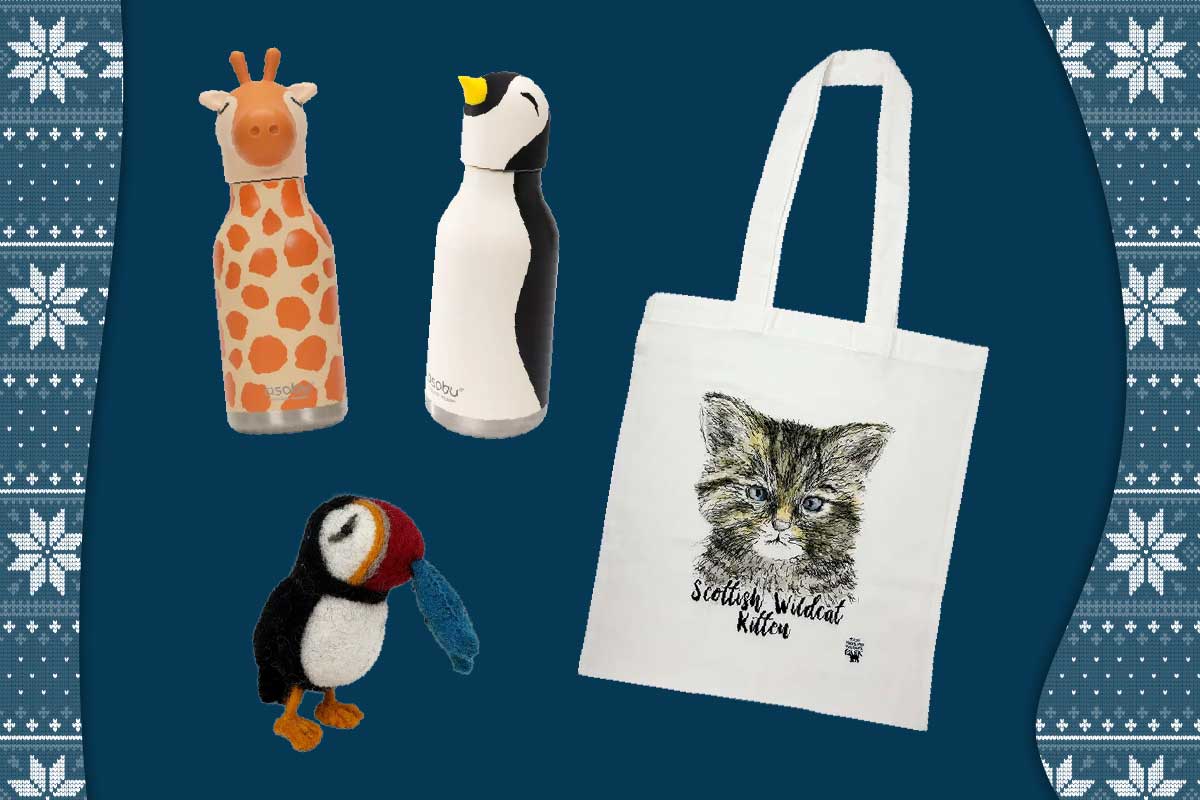 RZSS sustainable Christmas collection